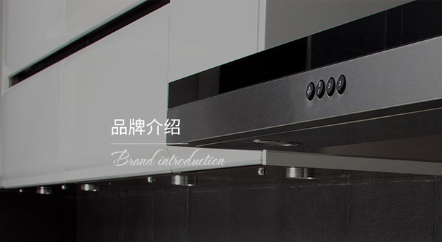 公司概况